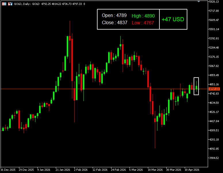 เทคนิค (3)